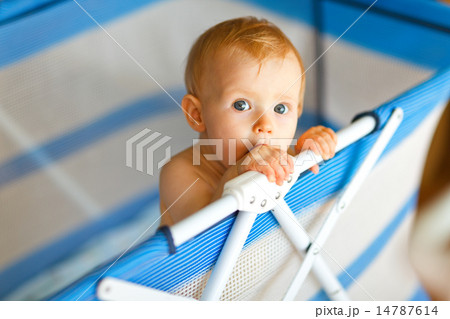 Portrait of baby in playpen 14787614