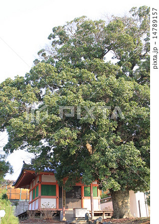 家原寺 家原寺 14789157