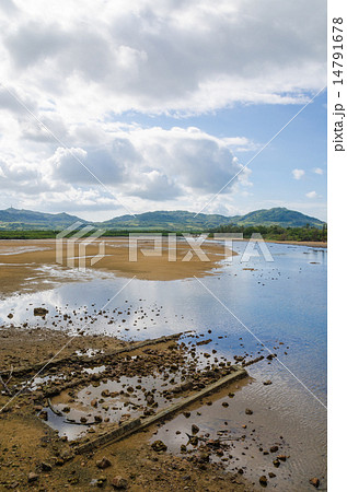 沖縄県　石垣島　名蔵川 14791678