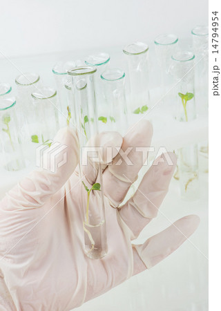 Biosciences 14794954