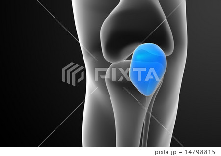 3d render medical illustration of the patella bone 14798815