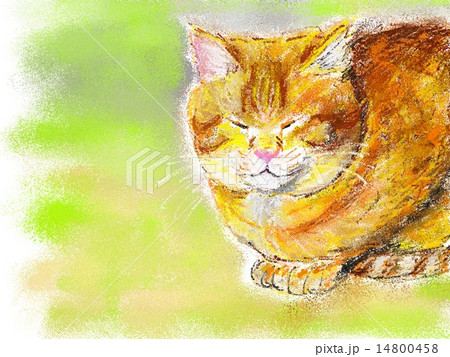 猫のイラスト クレヨン画風のイラスト素材 [14800458] - PIXTA