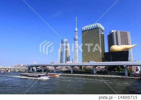 隅田川春景 14800715