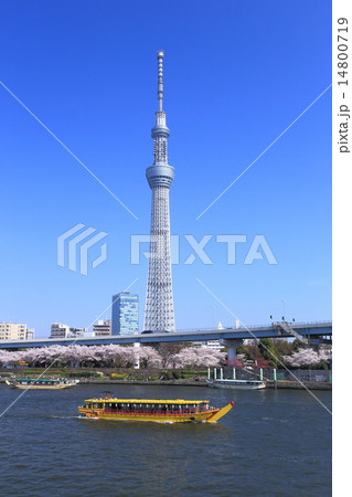 隅田川春景 隅田川春景 14800719
