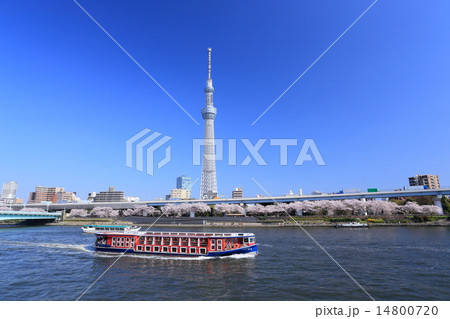 隅田川春景 隅田川春景 14800720