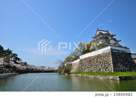 春の岸和田城 春の岸和田城 14800982