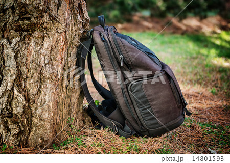 Black photography bag in the forest 14801593