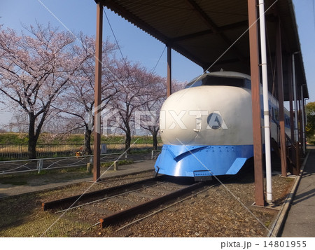 新幹線と桜 14801955