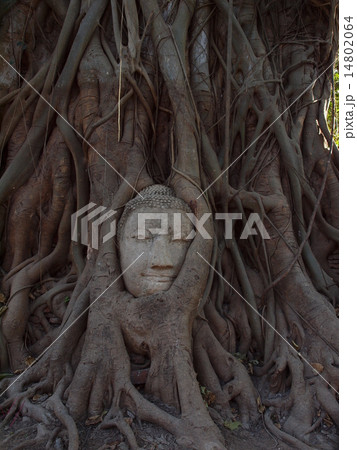 アユタヤの世界遺産 14802064