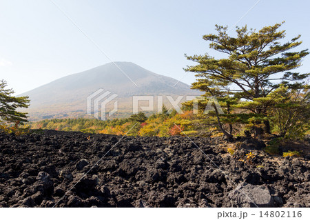 焼走り熔岩流 焼走り熔岩流 14802116