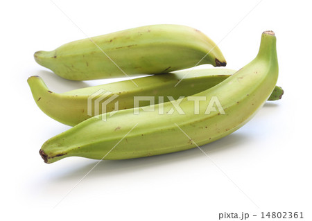 プランテン 14802361