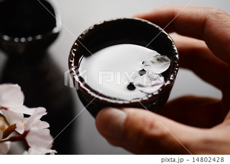 花見酒　日本酒　桜 14802428