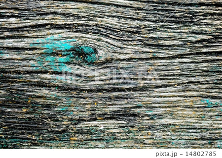 Wood texture Wood texture 14802785
