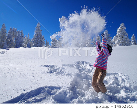 粉雪舞う 粉雪舞う 14802916