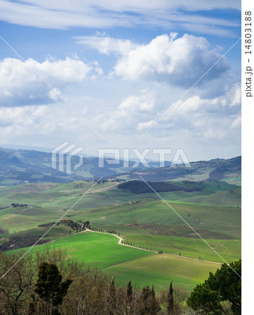 イタリア　トスカーナの田園風景 14803188