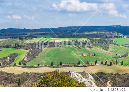 イタリア　トスカーナの田園風景 14803191