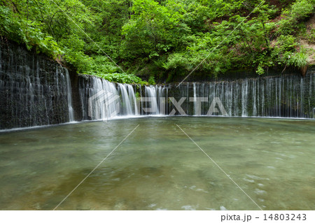 白糸の滝 白糸の滝 14803243