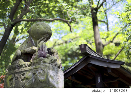 狛兎 調神社 14803263