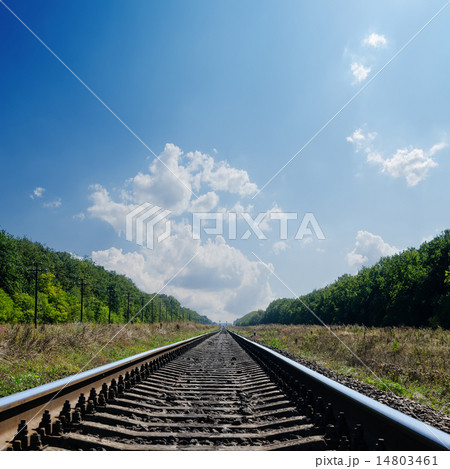 railroad to horizon in green landscape railroad to horizon in green landscape 14803461
