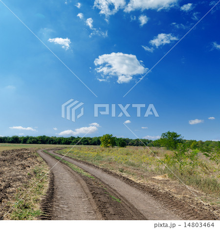 winding rural road to horizon under cloudy sky 14803464