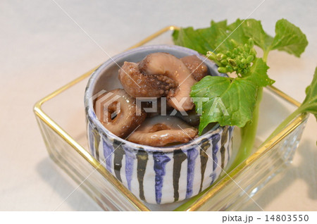 なまこ なまこ 14803550