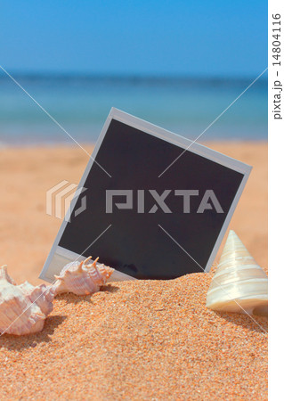 instant photo with seashels 14804116