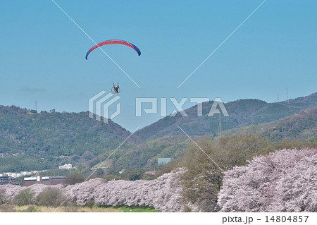 パラモーター パラモーター 14804857