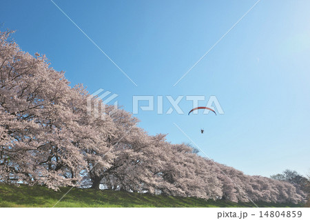 パラモーター 14804859