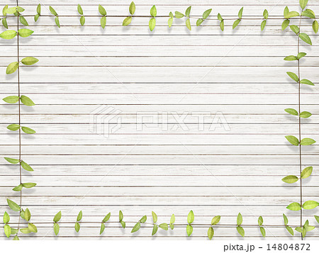 ナチュラル背景-木-葉のイラスト素材 [14804872] - PIXTA