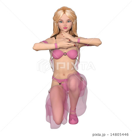 ベリーダンサー 14805446