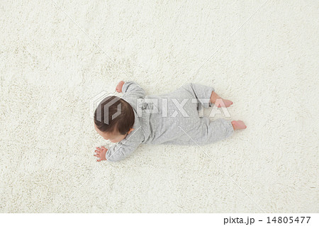 6 months old 6 months old 14805477