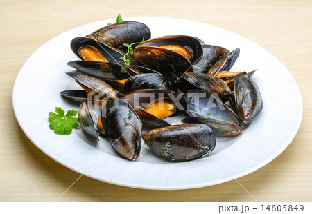 Boiled mussels 14805849