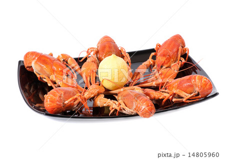 Plate of red boiled lobsters Plate of red boiled lobsters 14805960