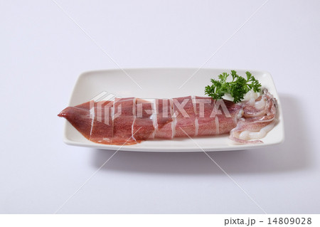 イカ姿焼き イカ姿焼き 14809028