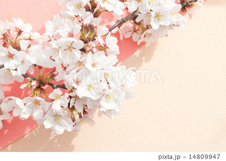 春のイメージ 春のイメージ 14809947