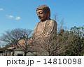 大仏 14810098