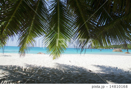 The island of dreams. Rest and relaxation. 14810168