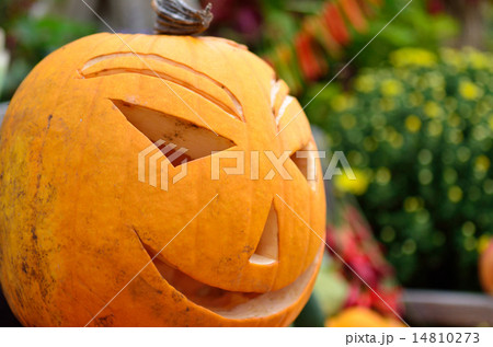 かぼちゃのオブジェ　ハロウィン 14810273