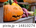 かぼちゃのオブジェ　ハロウィン 14810274