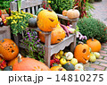 かぼちゃのオブジェ　ハロウィン 14810275