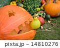 かぼちゃの顔 14810276