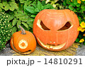 かぼちゃの顔 14810291