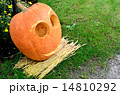 かぼちゃの顔 14810292