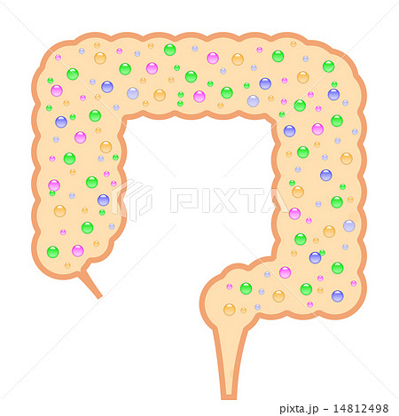 多様な腸内細菌のイメージのイラスト素材