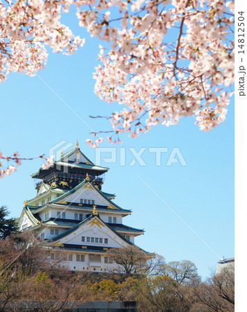 春の大阪城 春の大阪城 14812504