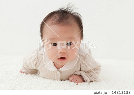 2 months old 14813188