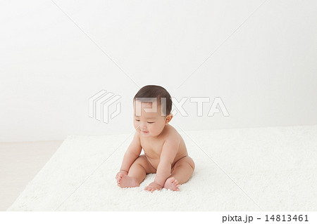 6 months old 6 months old 14813461