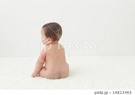 6 months old 14813463