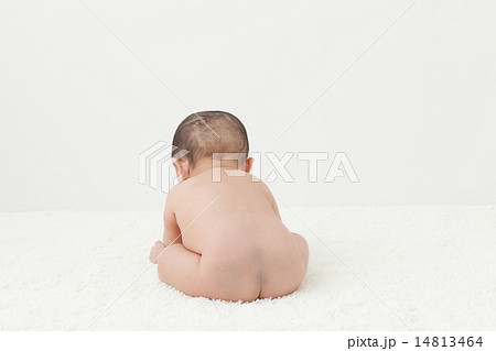 6 months old 14813464