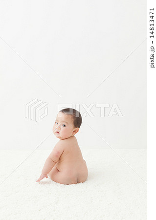 6 months old 6 months old 14813471